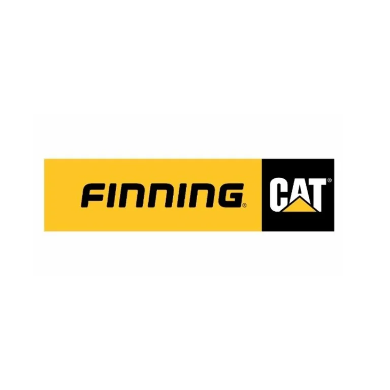 Finning
